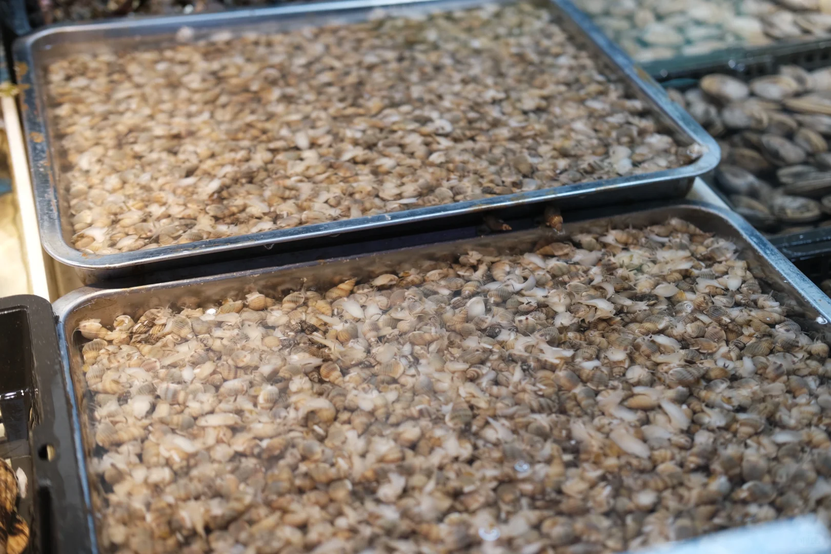 桃源市场·大连记录?