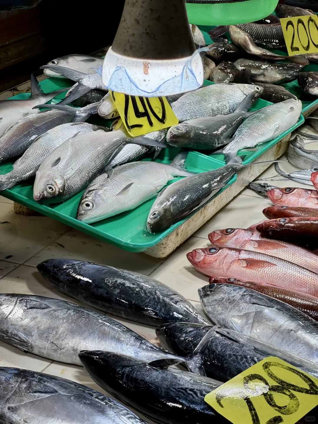 菲律宾薄荷岛最大海鲜市场,实现海鲜自由