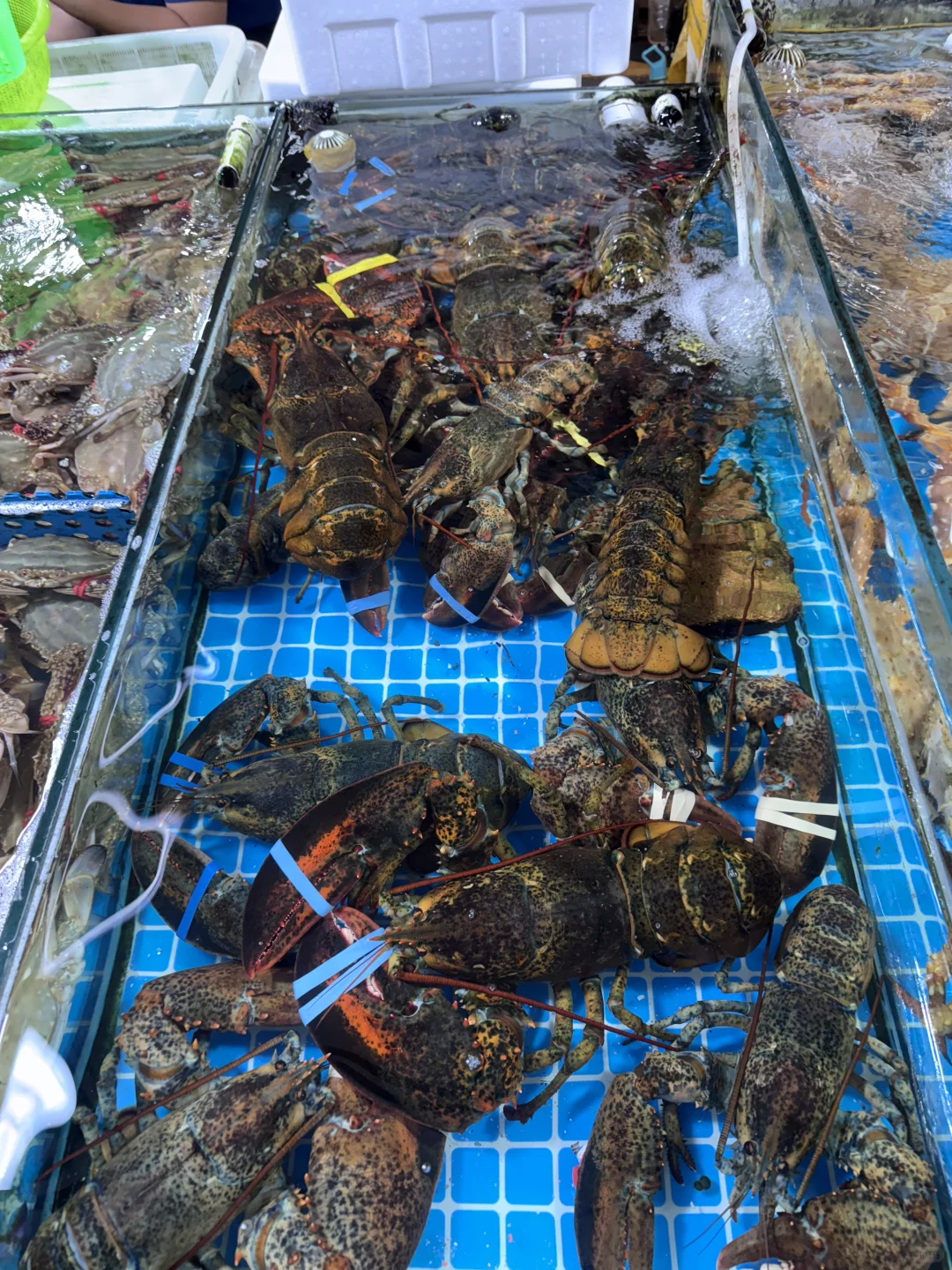 日照石臼海鲜市场｜本地人带路防坑指南