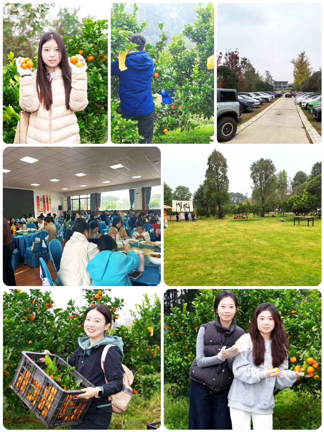 西南民族大学&昱小农|周末采橘?