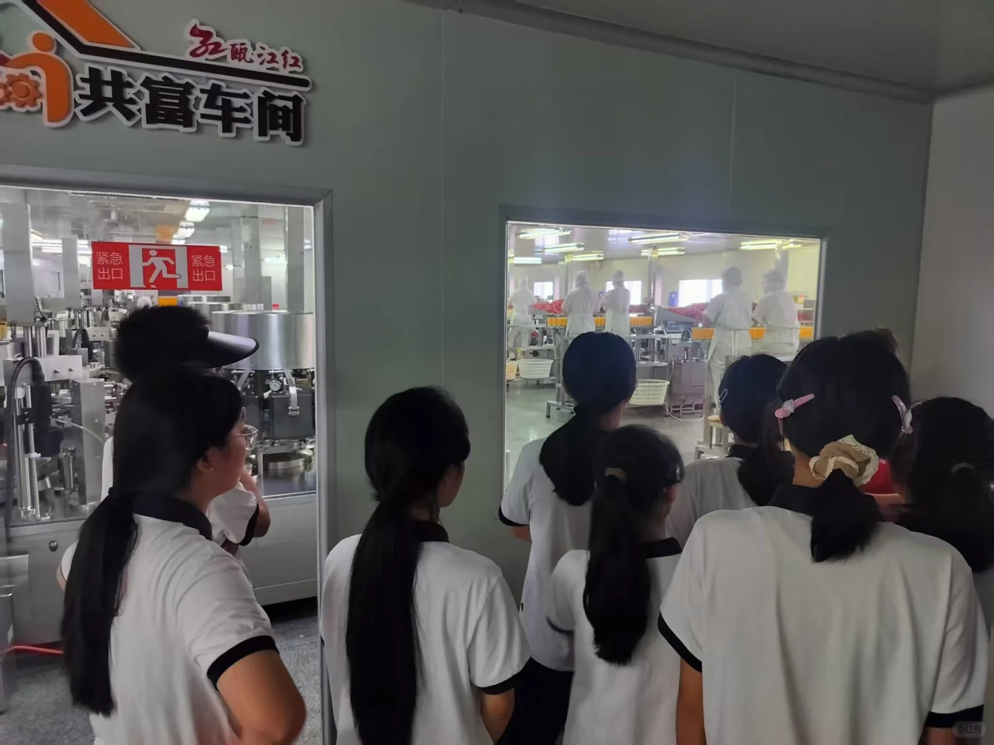 ?温州中学生闯关修文食品厂实录！