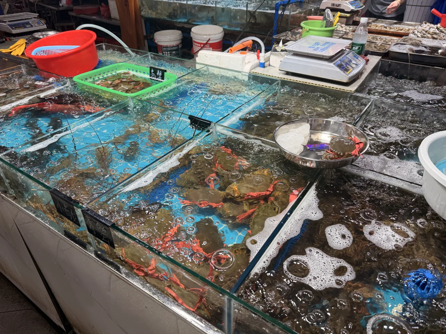 找到了！万宁兴隆农贸市场本命海鲜店！！