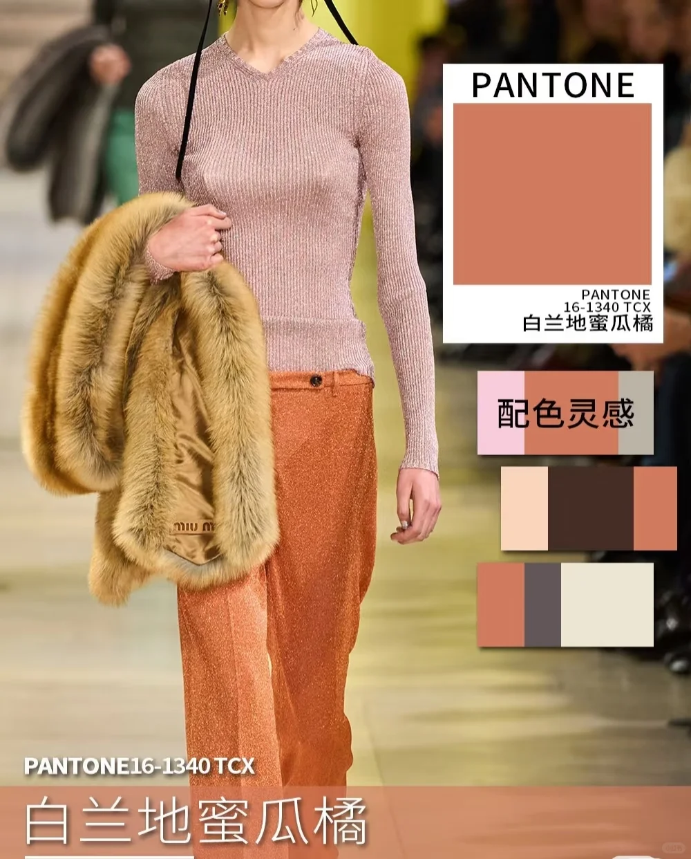 色彩趋势｜2025/2026 AW色彩流行趋势！