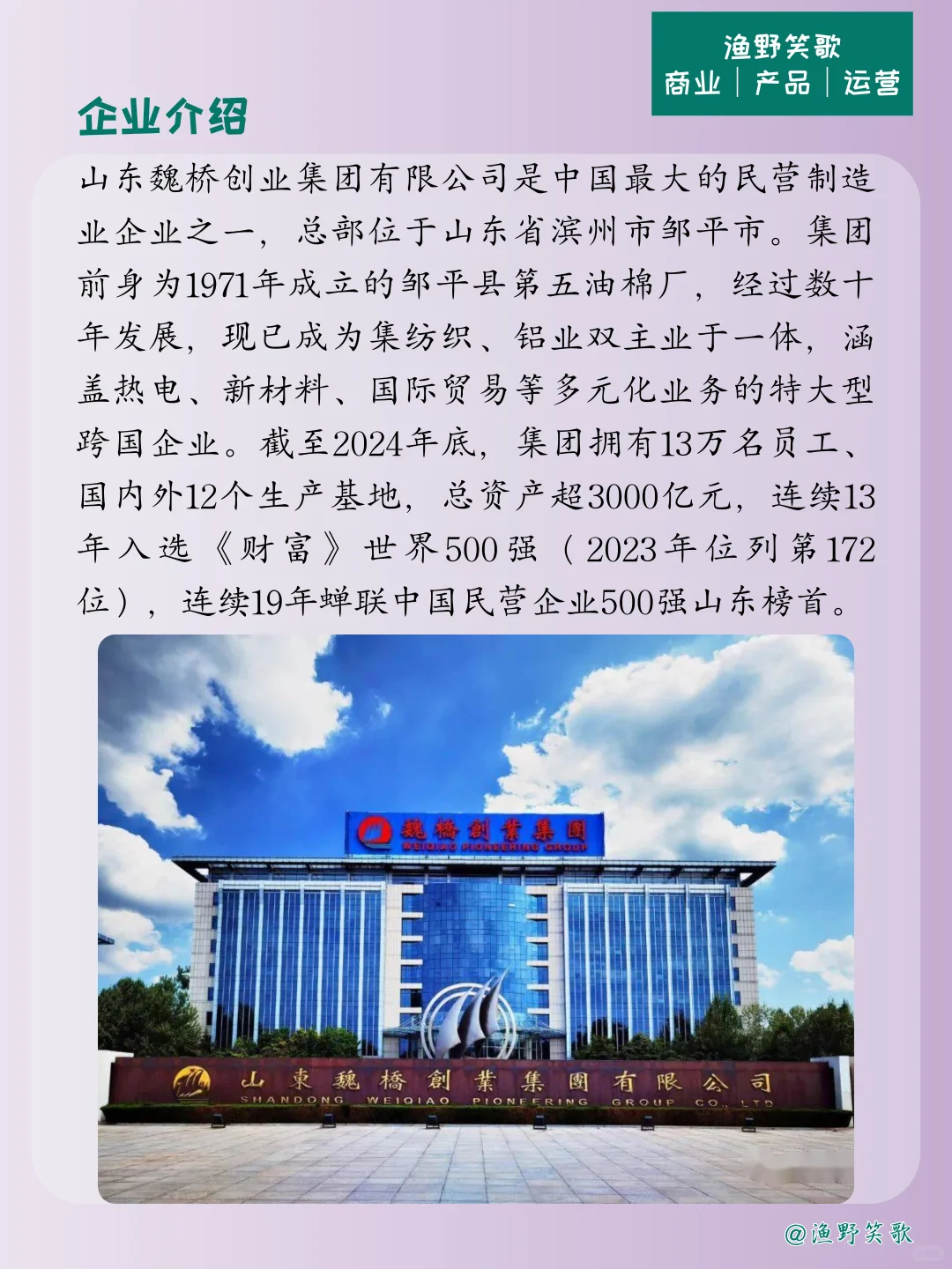 每天认识一个品牌案例,No.172:魏桥创业