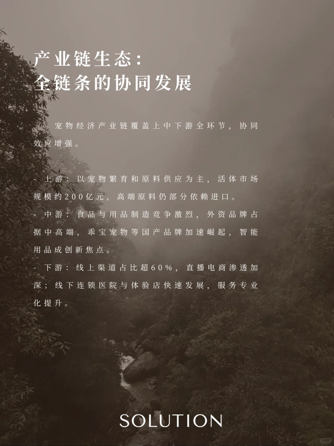 宠物经济：情感驱动下的新消费蓝海