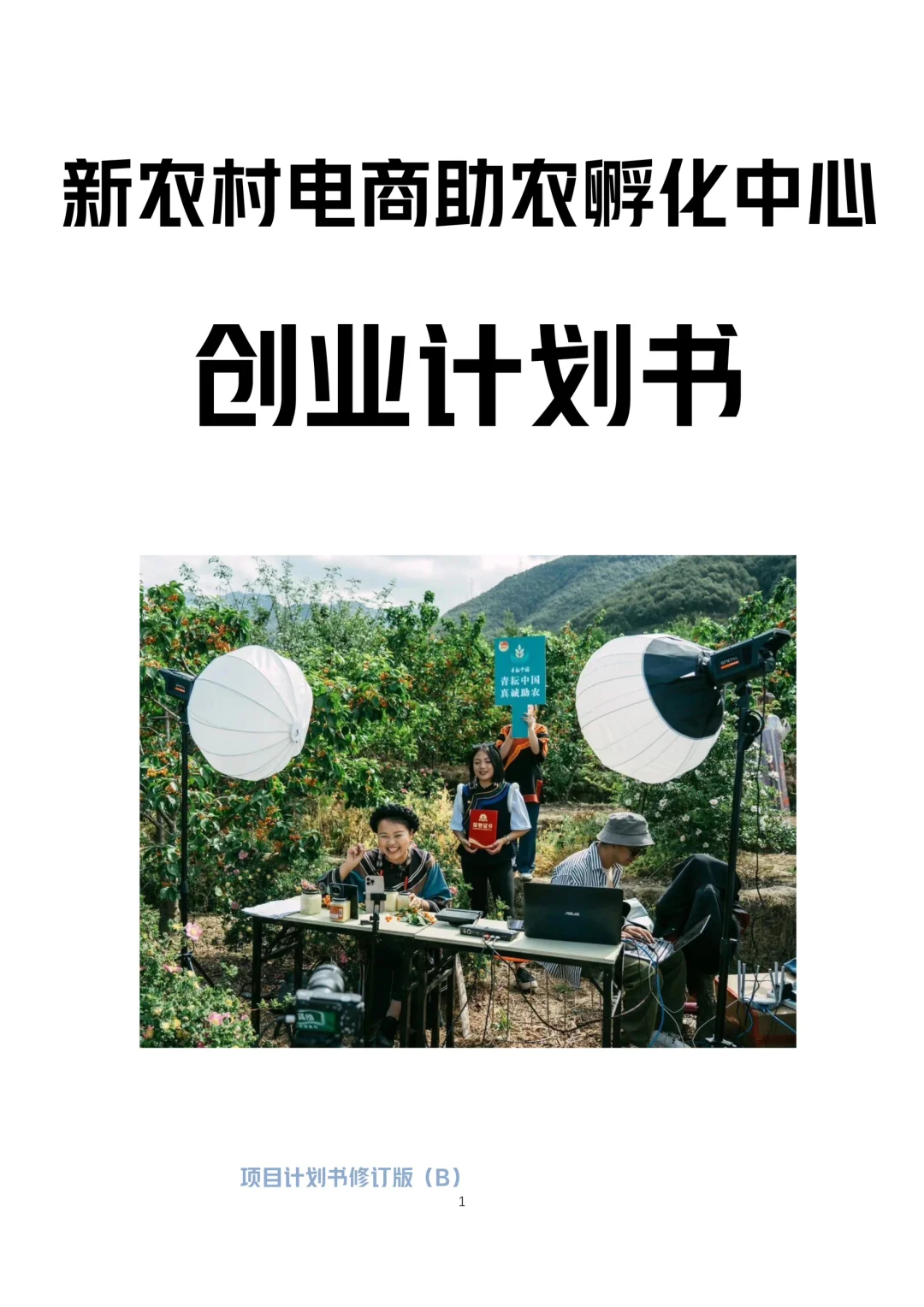 新农村电商助农孵化中心创业计划书