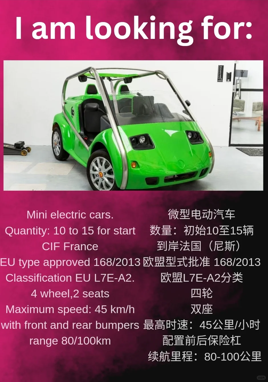 Seeking Mini EV Cars for French Market