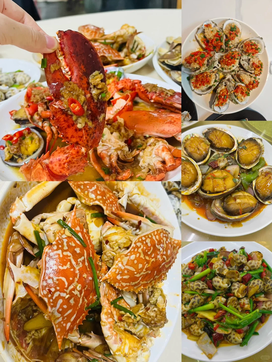 落地北海直奔这个市场!本地人私藏的宝藏摊