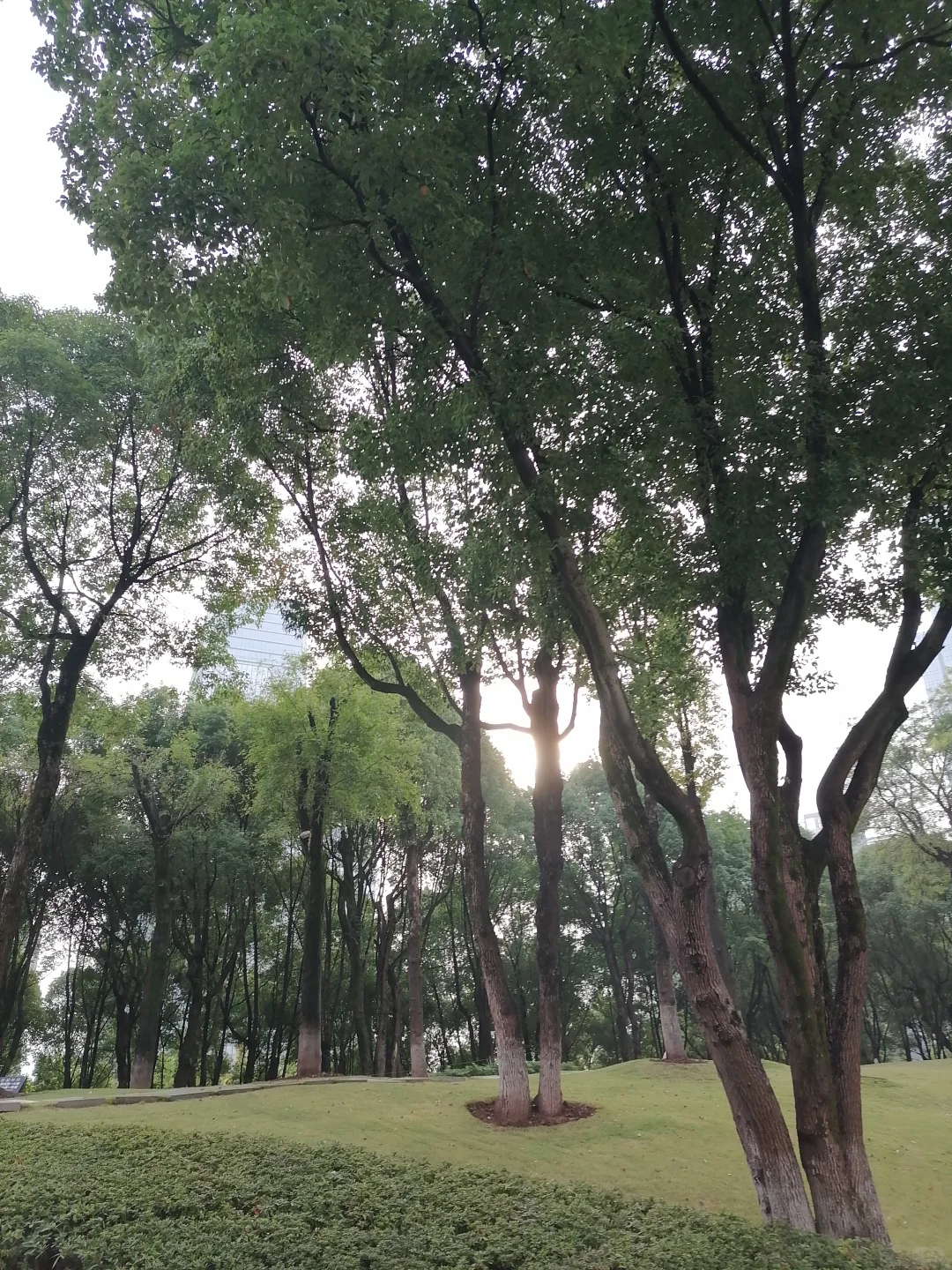 明玉珍皇帝陵陈列馆