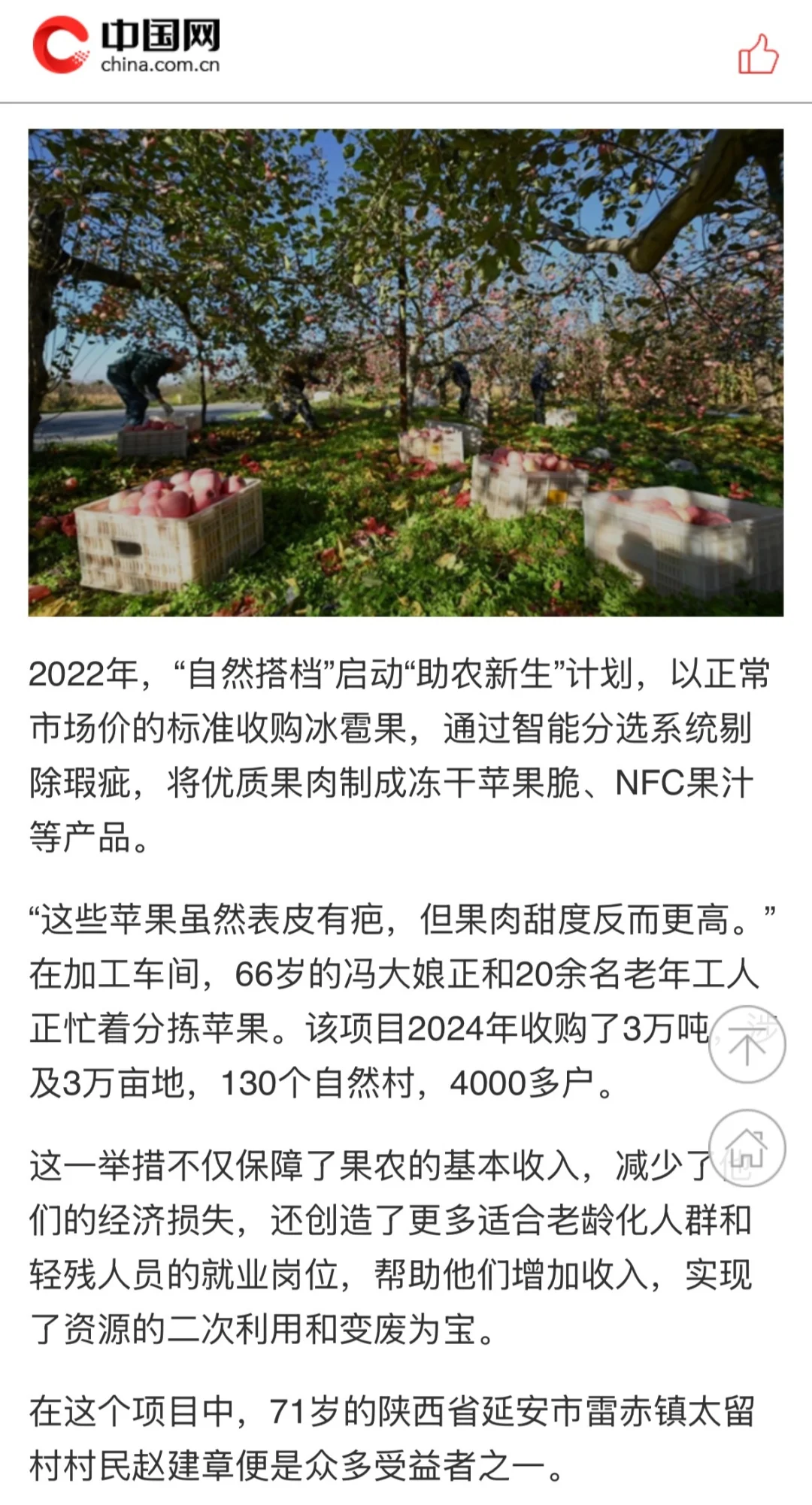 原来露思的助农计划从年初就开始准备了！！