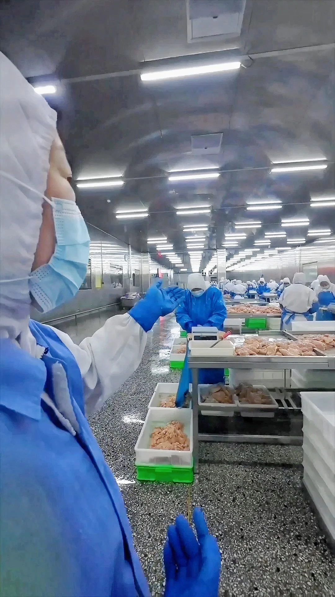 看完正新鸡排生产线，谁再黑它我真的会谢！