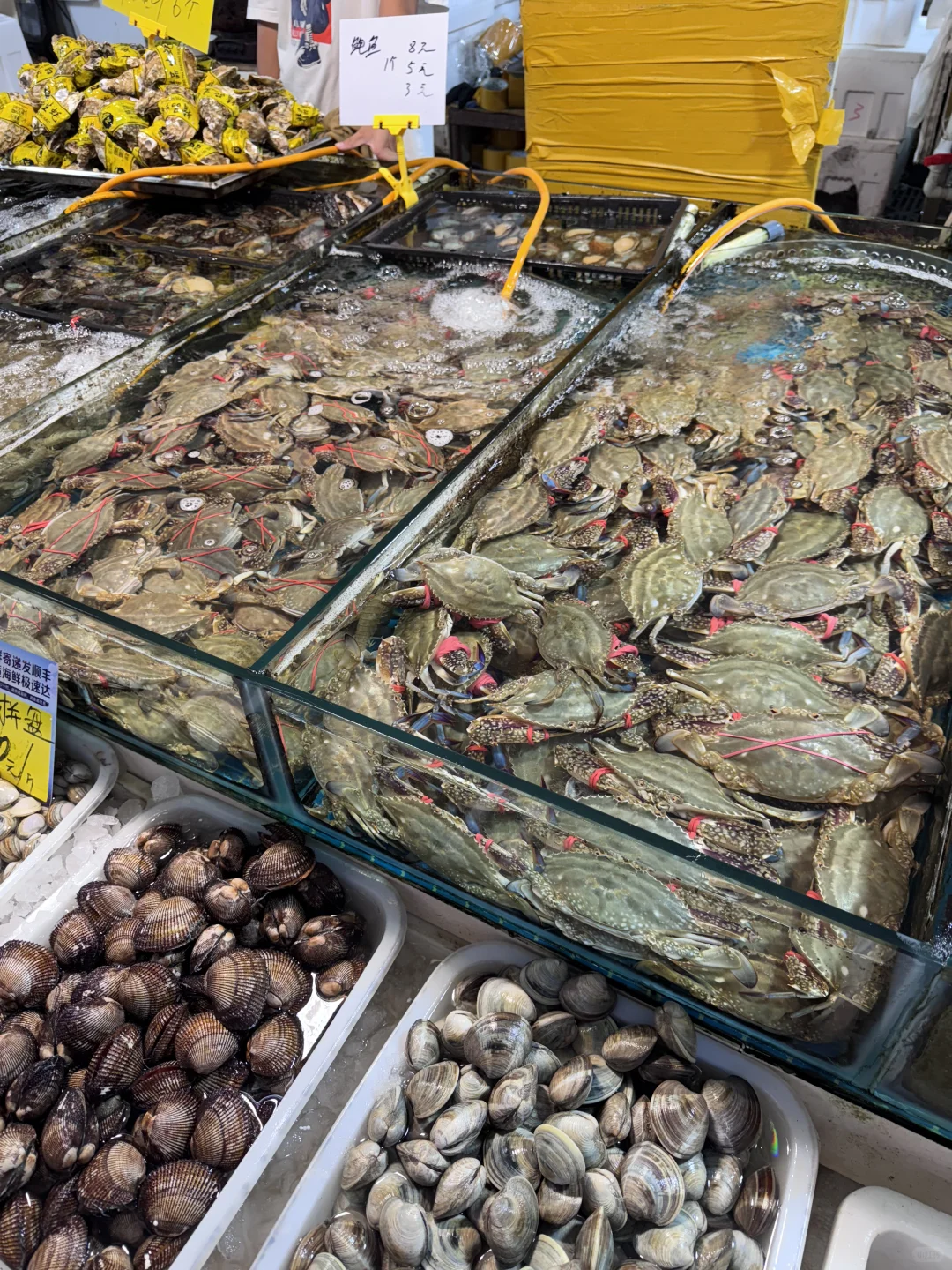 日照石臼海鲜市场｜本地人带路防坑指南