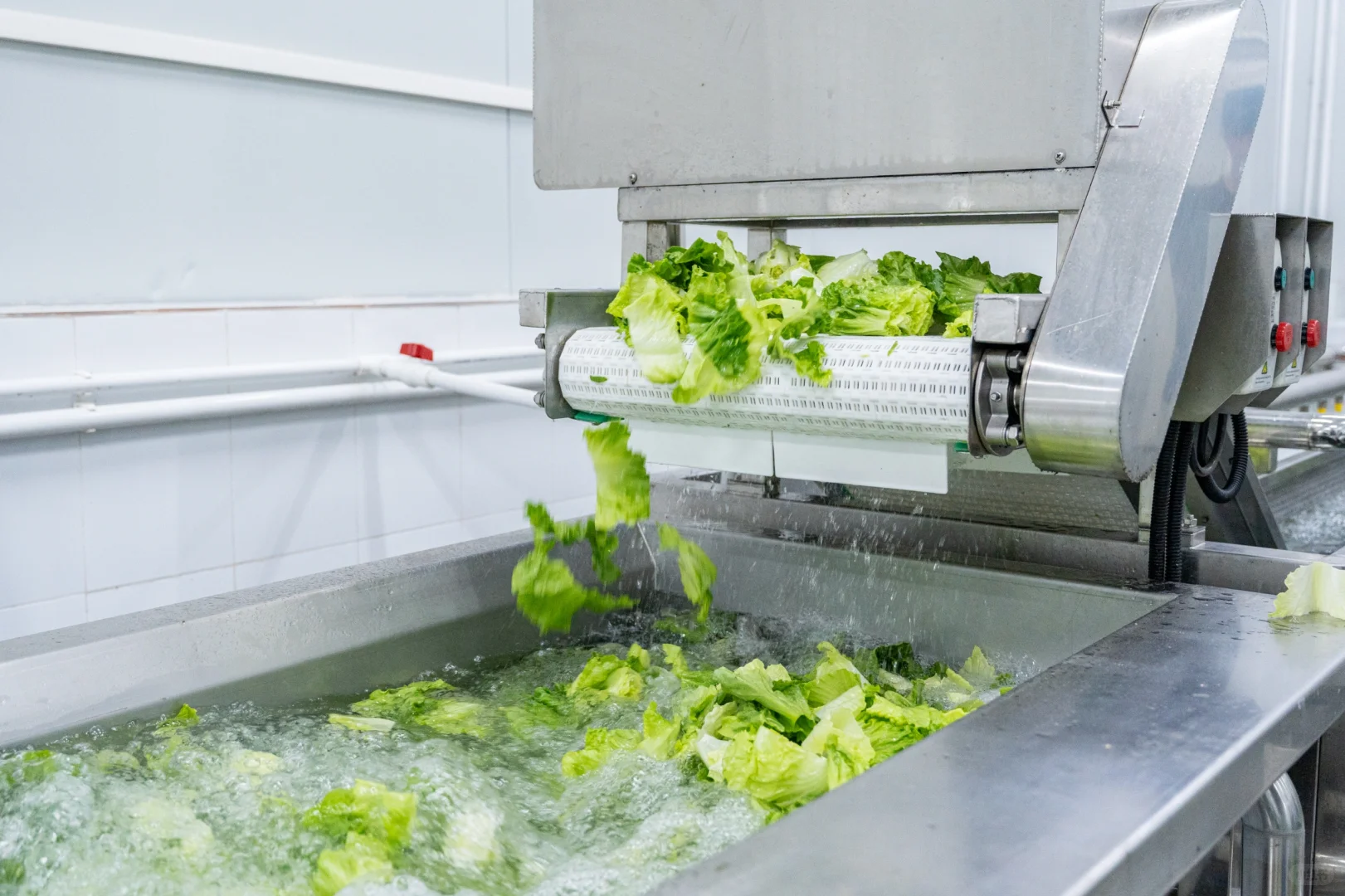 别再靠人工备菜了!净菜加工了解一下!?