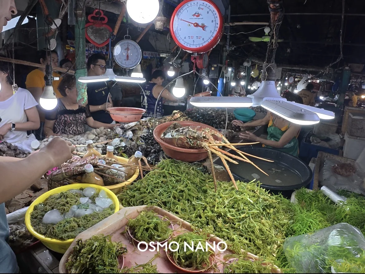 菲律宾薄荷岛最大海鲜市场,实现海鲜自由