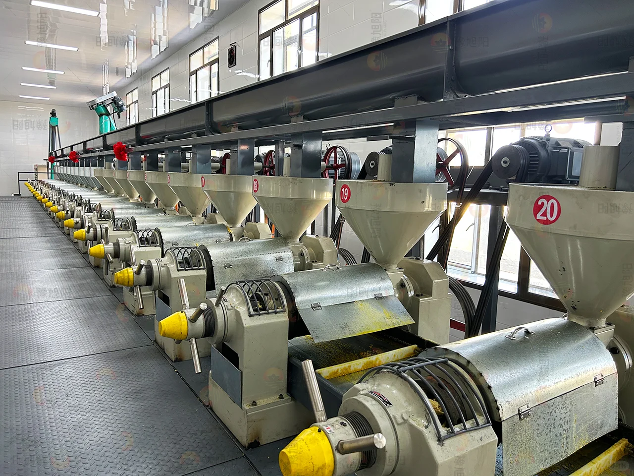 河南旭阳粮油：笨榨大豆榨油精炼设备生产线