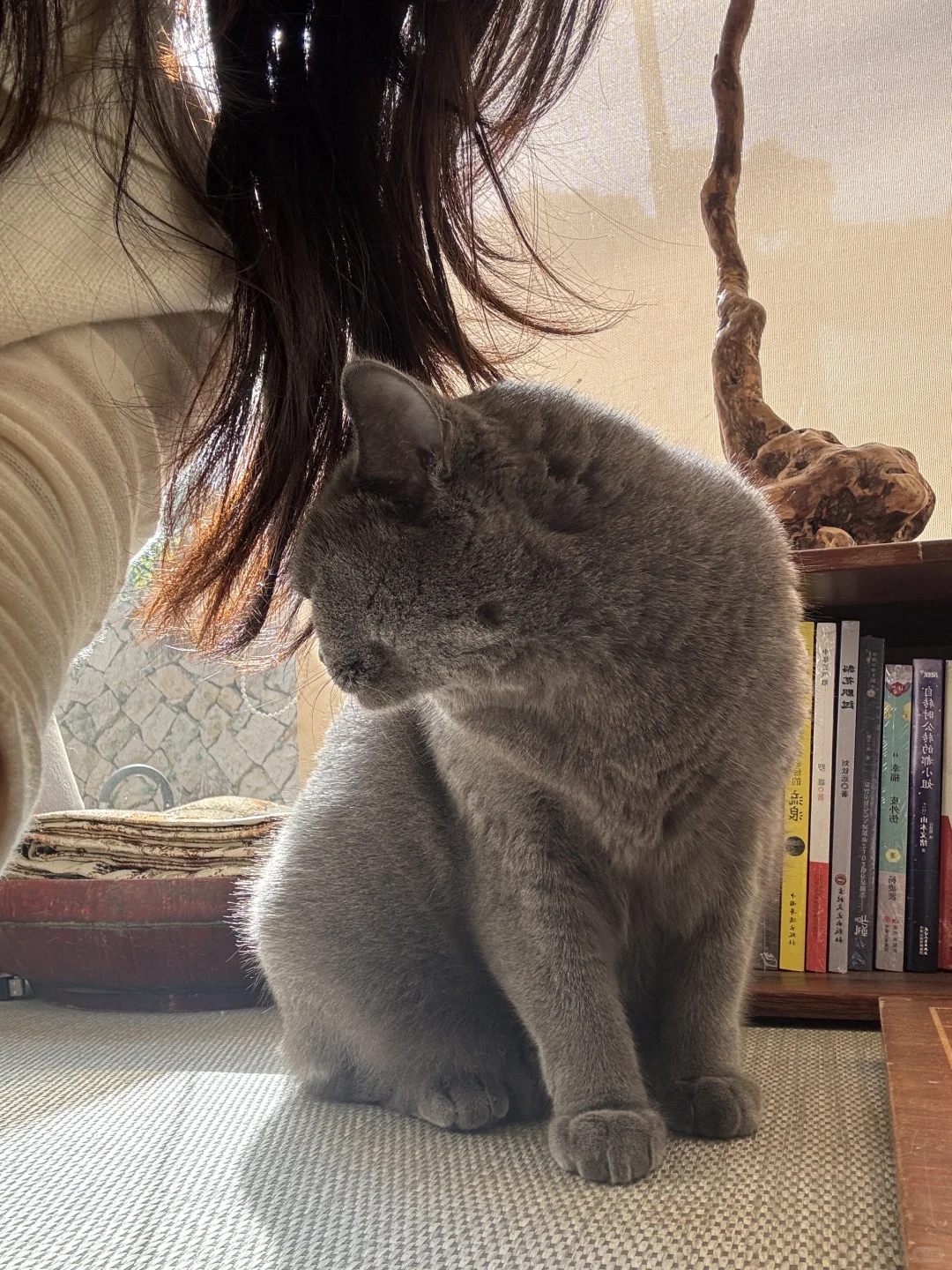 10月底淡季来舟山真的很爽！！！