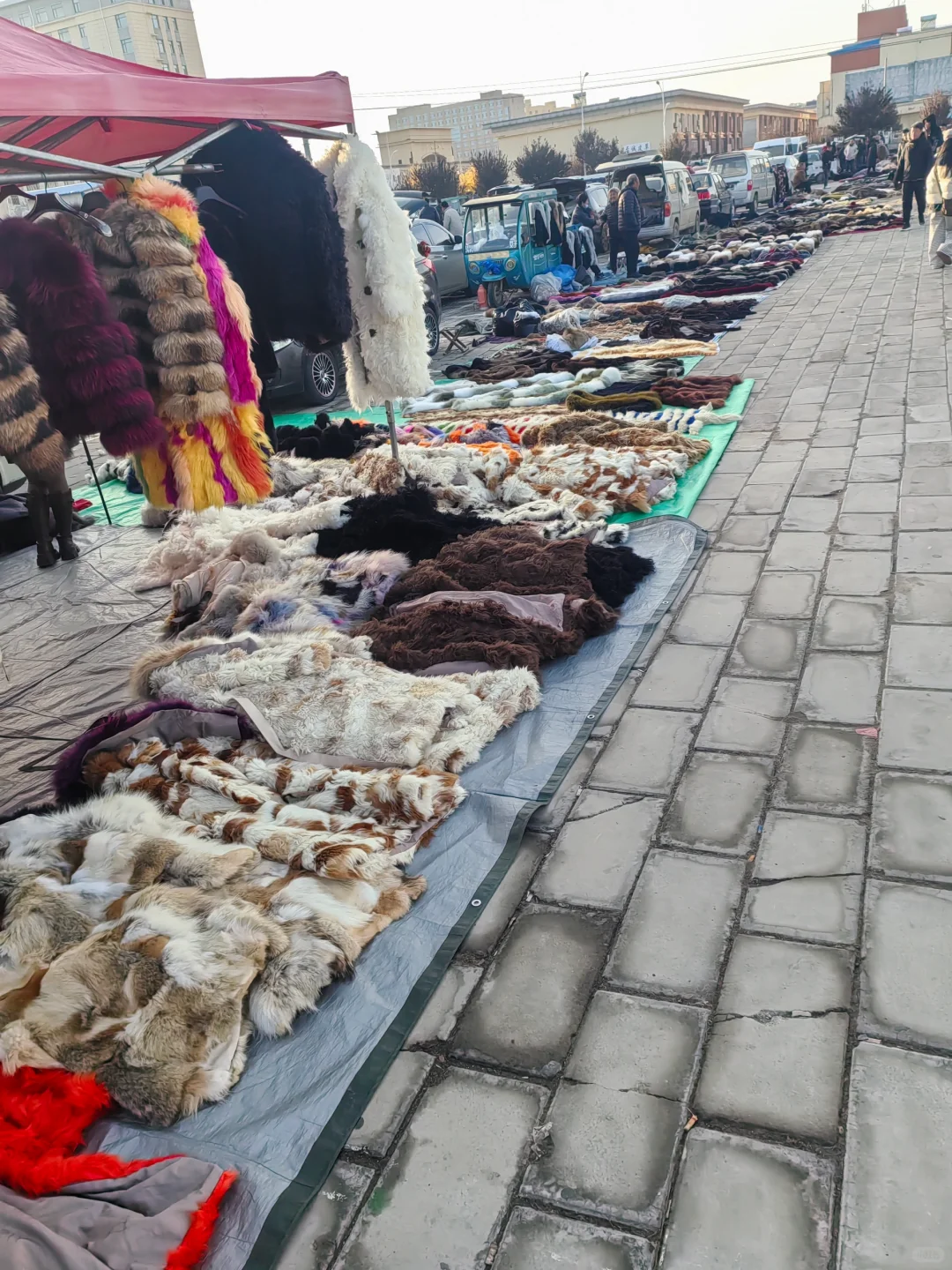 这才是真正的皮草源头。