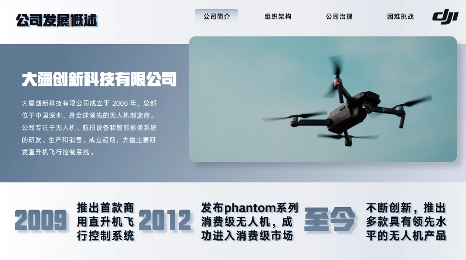 大疆创新企业分析17页