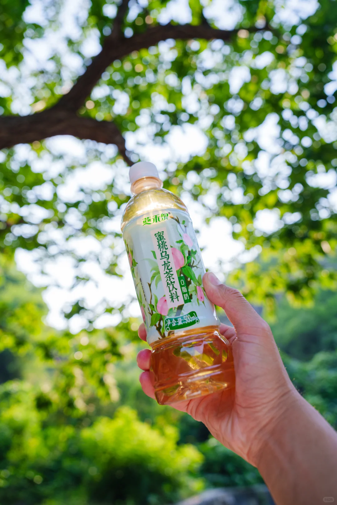 周末别宅啦!带上蜜桃乌龙茶饮料去撒欢