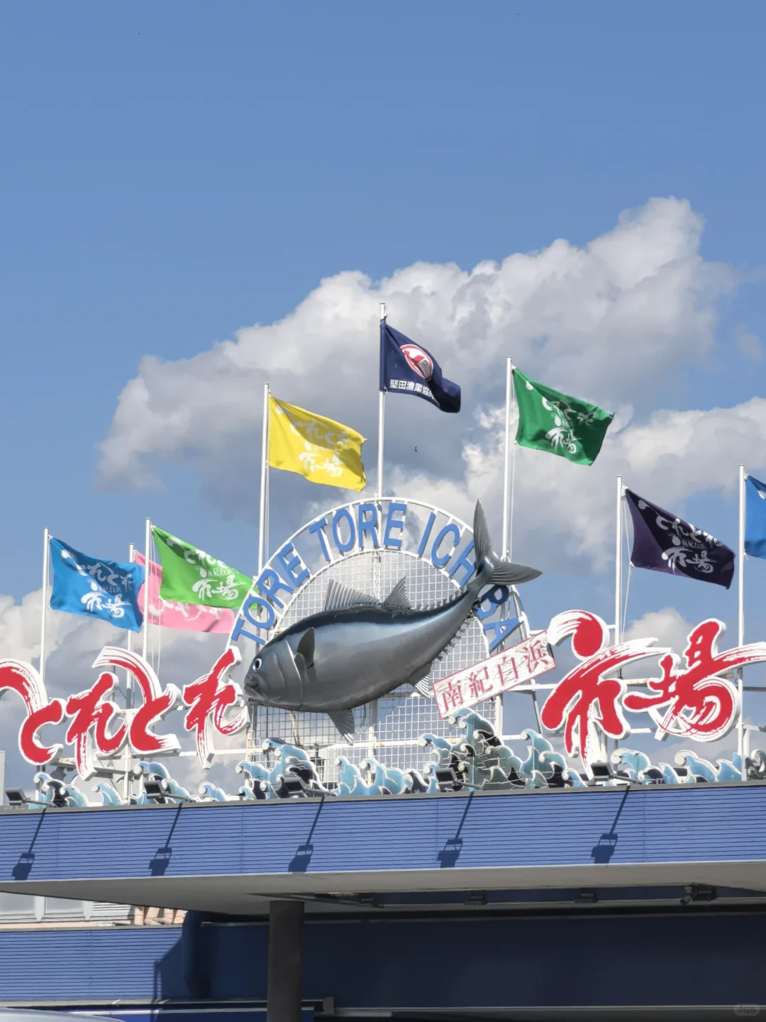 和歌山海鲜控必收！三大市场测评逛吃攻略