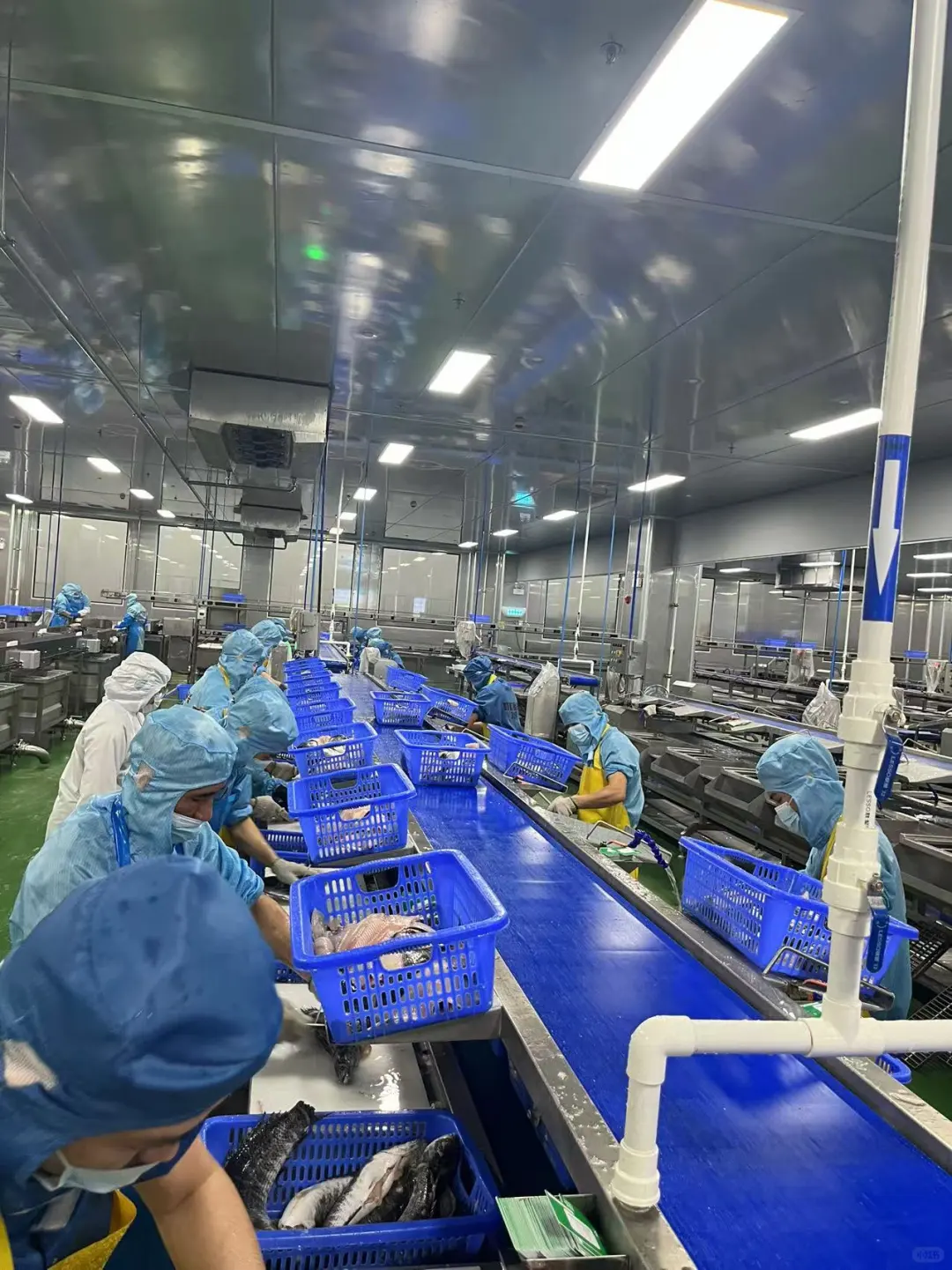 叮叮懒人菜的硬核实力，从工厂就能看出