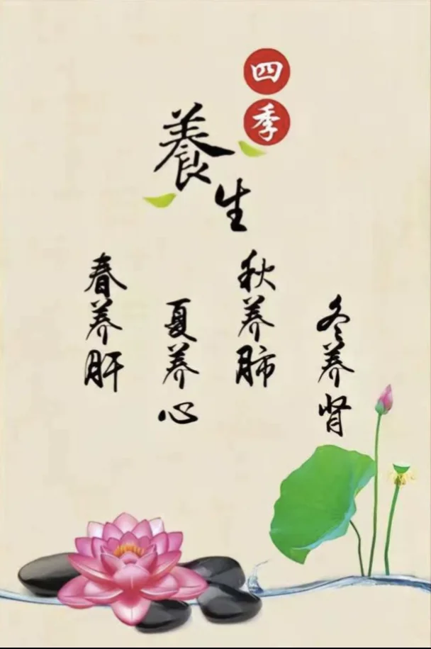 传承中医养生文化❗❗❗