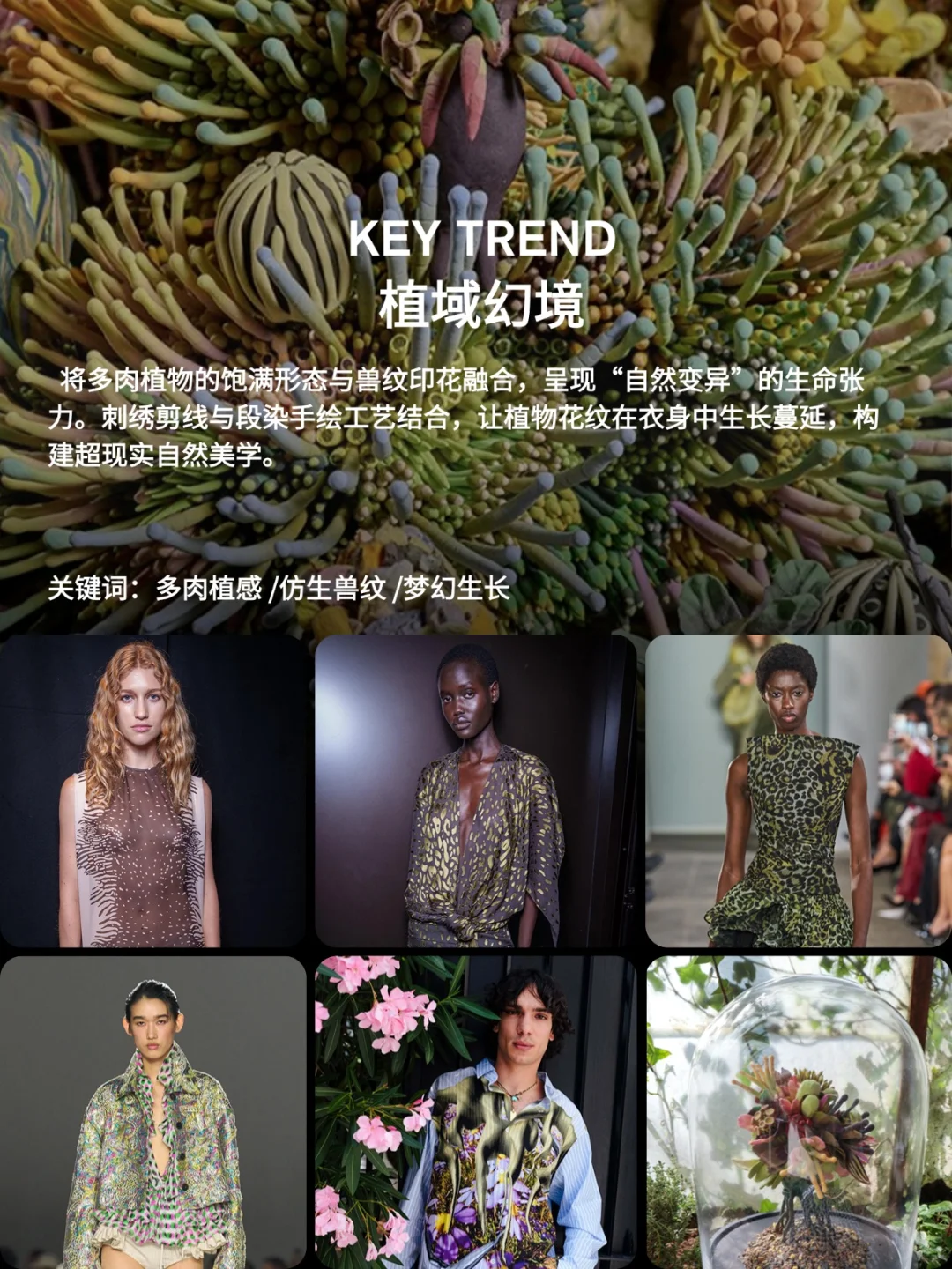 蝶讯流行趋势 | 面料趋势