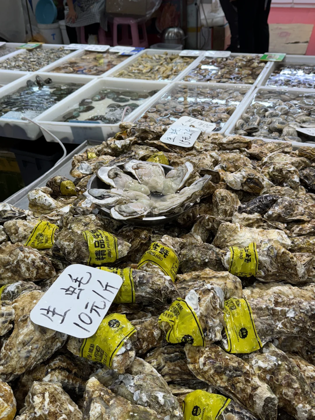 青岛最近尊嘟冷……但海鲜这肥度可蹭蹭涨！！