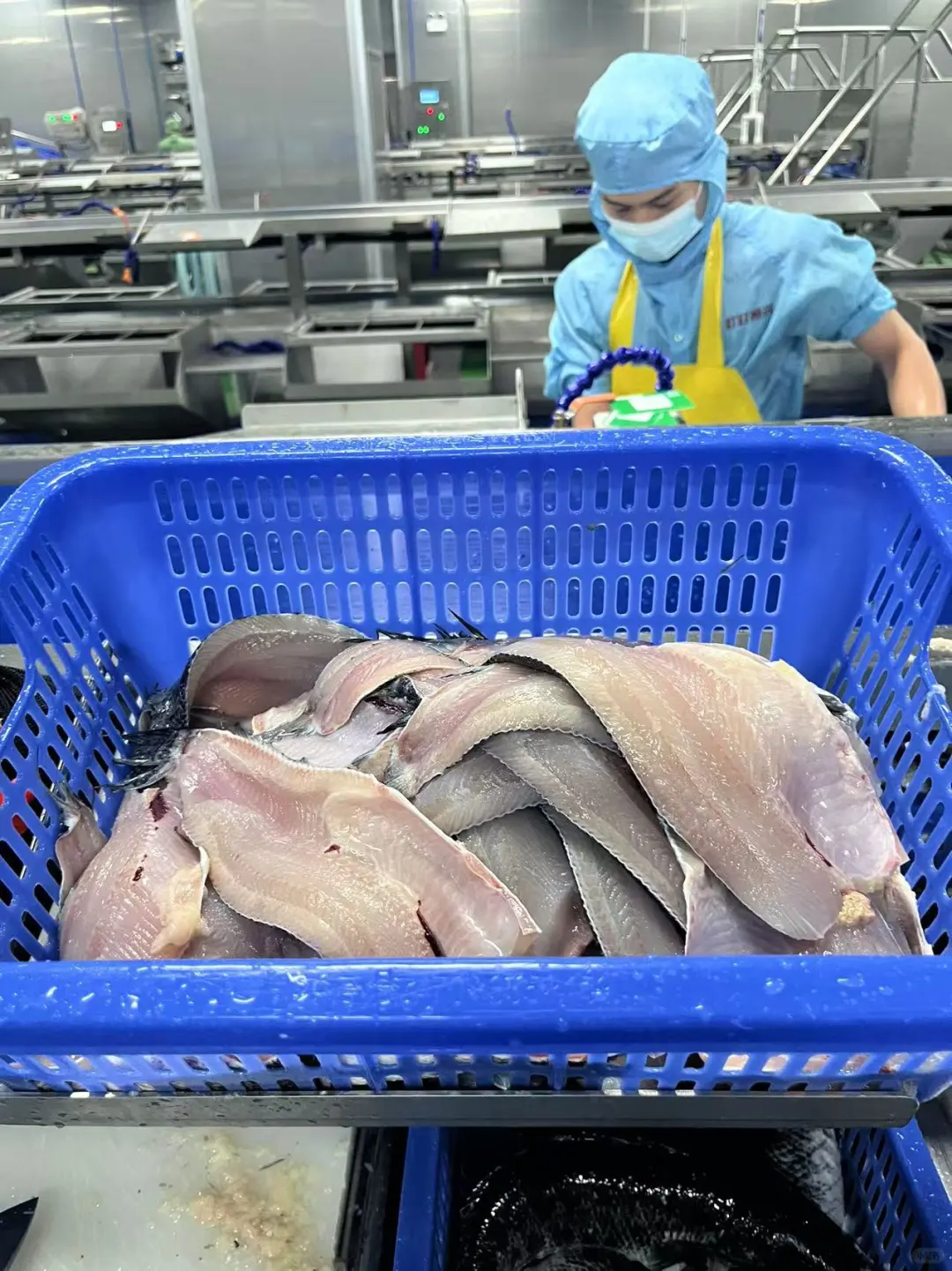 叮叮懒人菜的硬核实力，从工厂就能看出