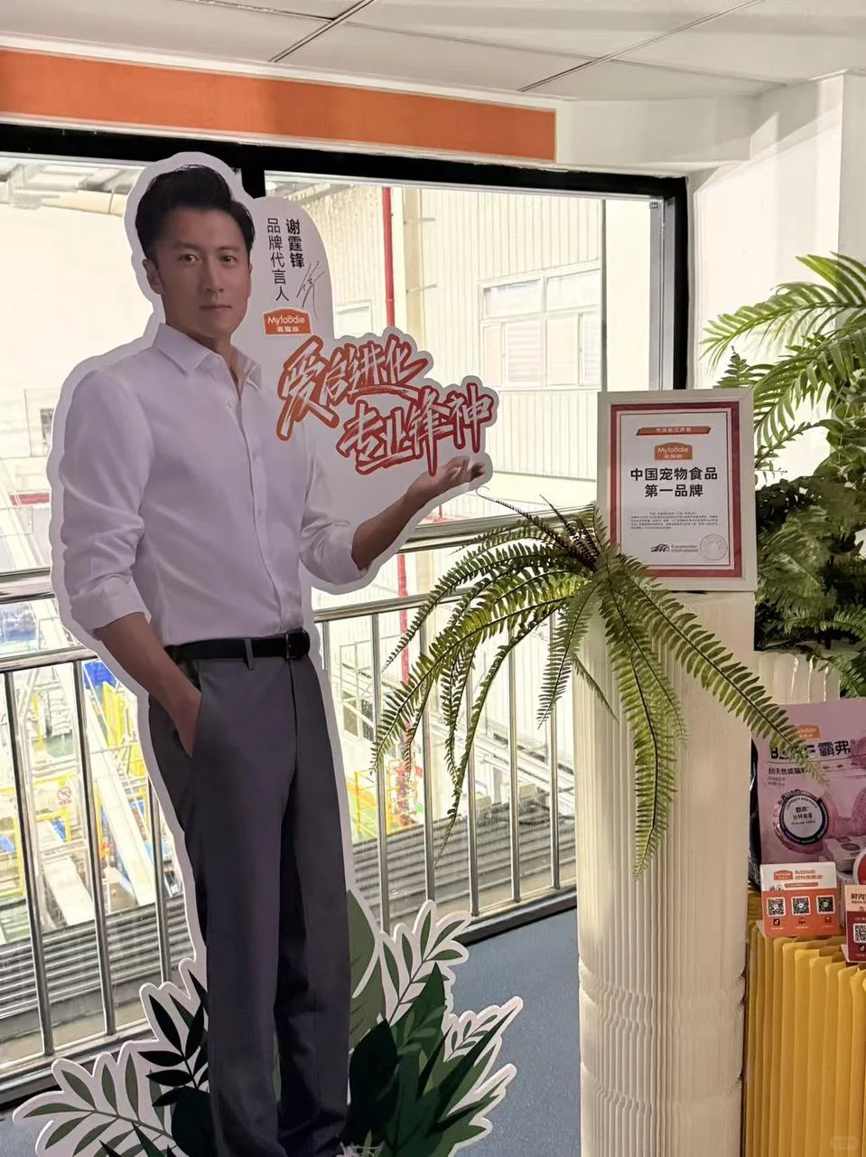 麦富迪这波宠娃操作，直接让我重新认识它！