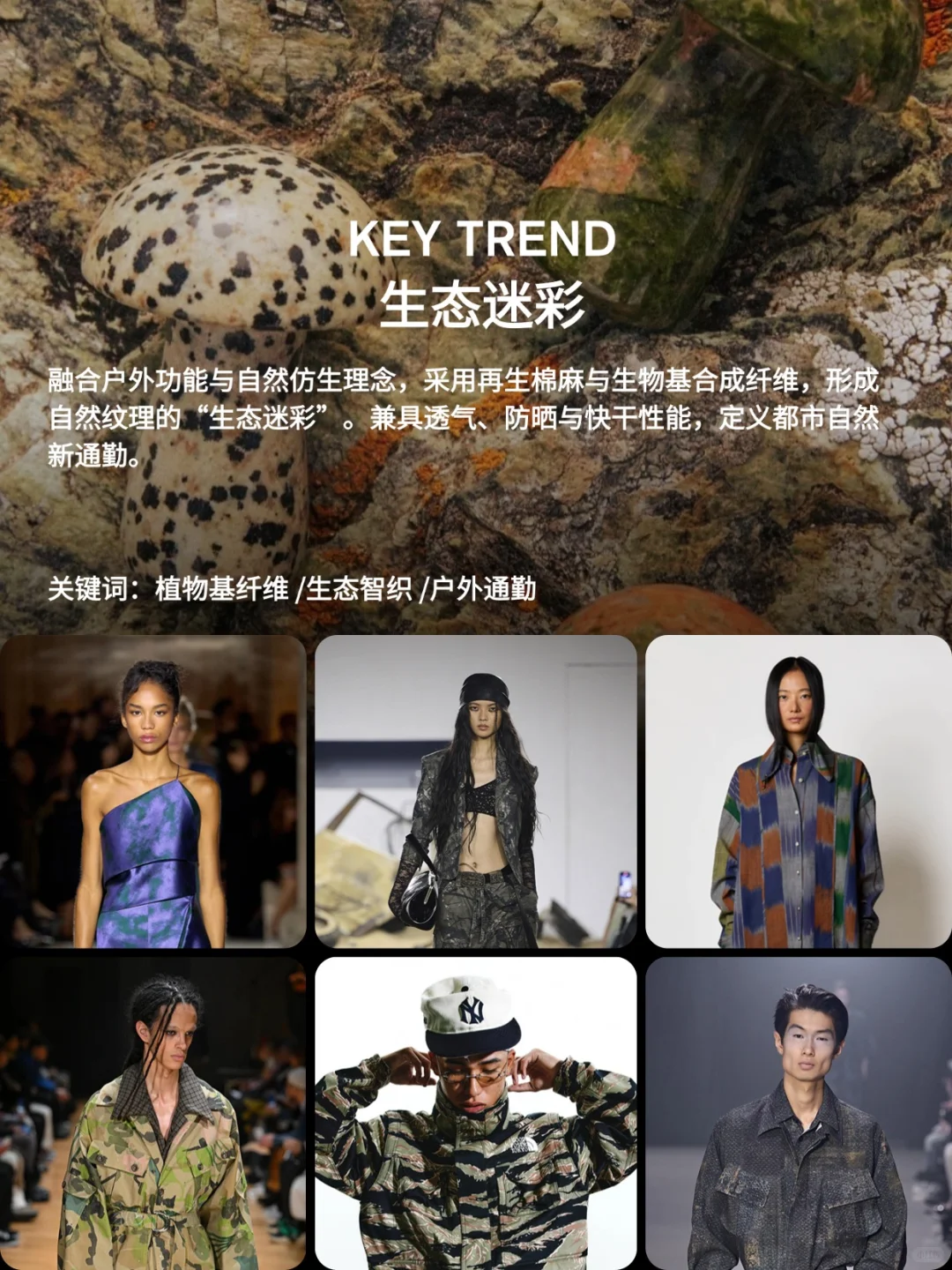 蝶讯流行趋势 | 面料趋势