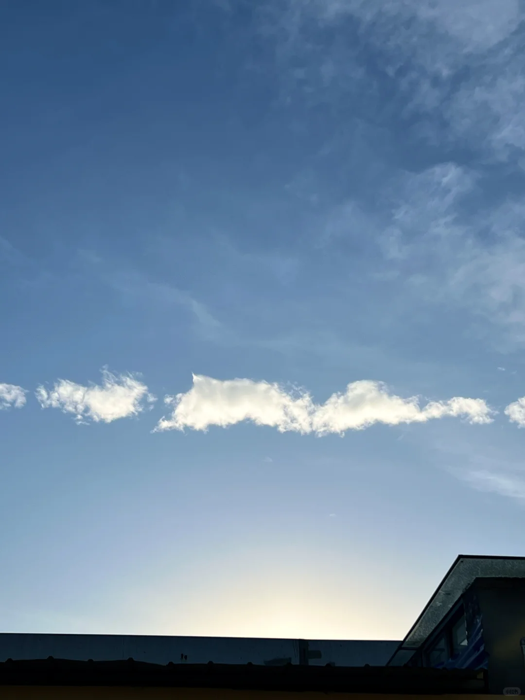 北五女师建辉烧鸡