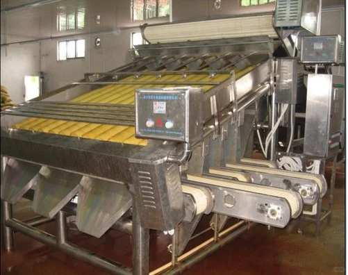 ?水产品初加工全流程!机械赛必看攻略