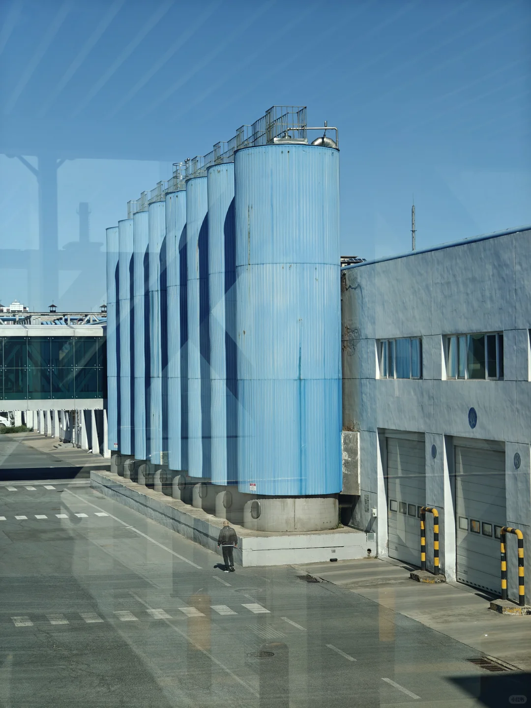 科普教育！原来我们喝的牛奶是这样来的！