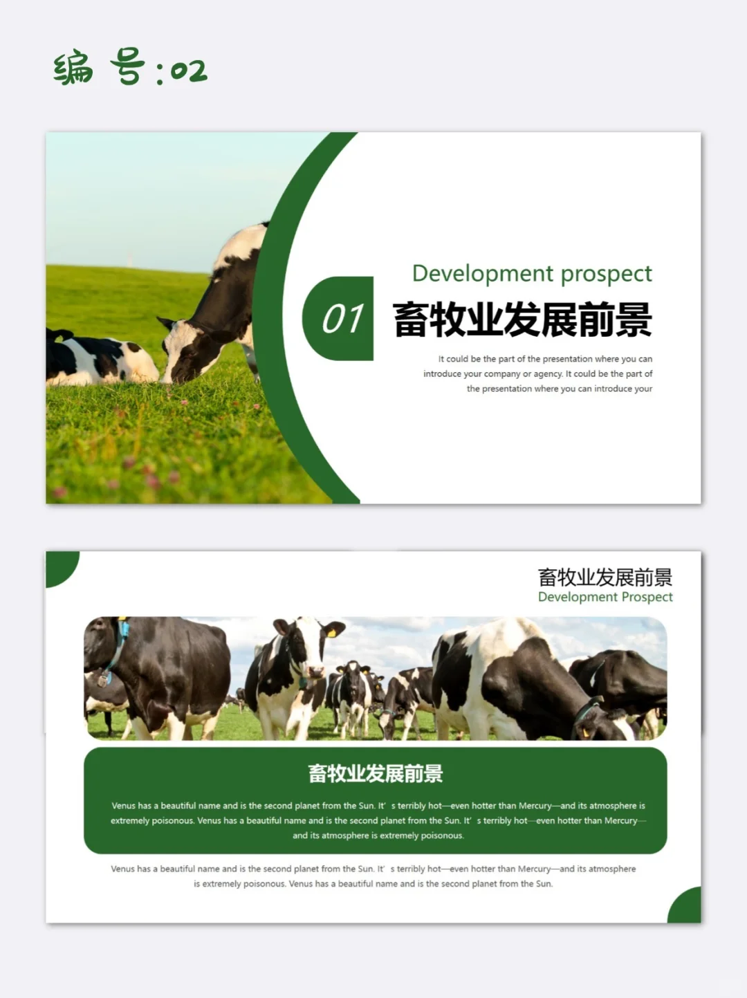 绿色简约风农村畜牧业养殖市场分析PPT模板