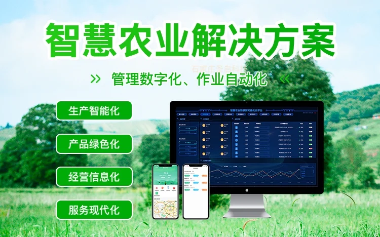 新质生产力驱动下的智慧农业发展模式