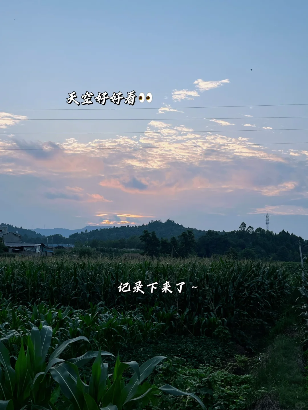 家人我回村了? 选择了做三农助农直播