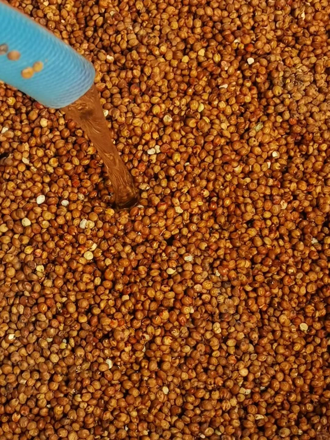 高端的美酒只需简单的传统酿造_红高粱酒