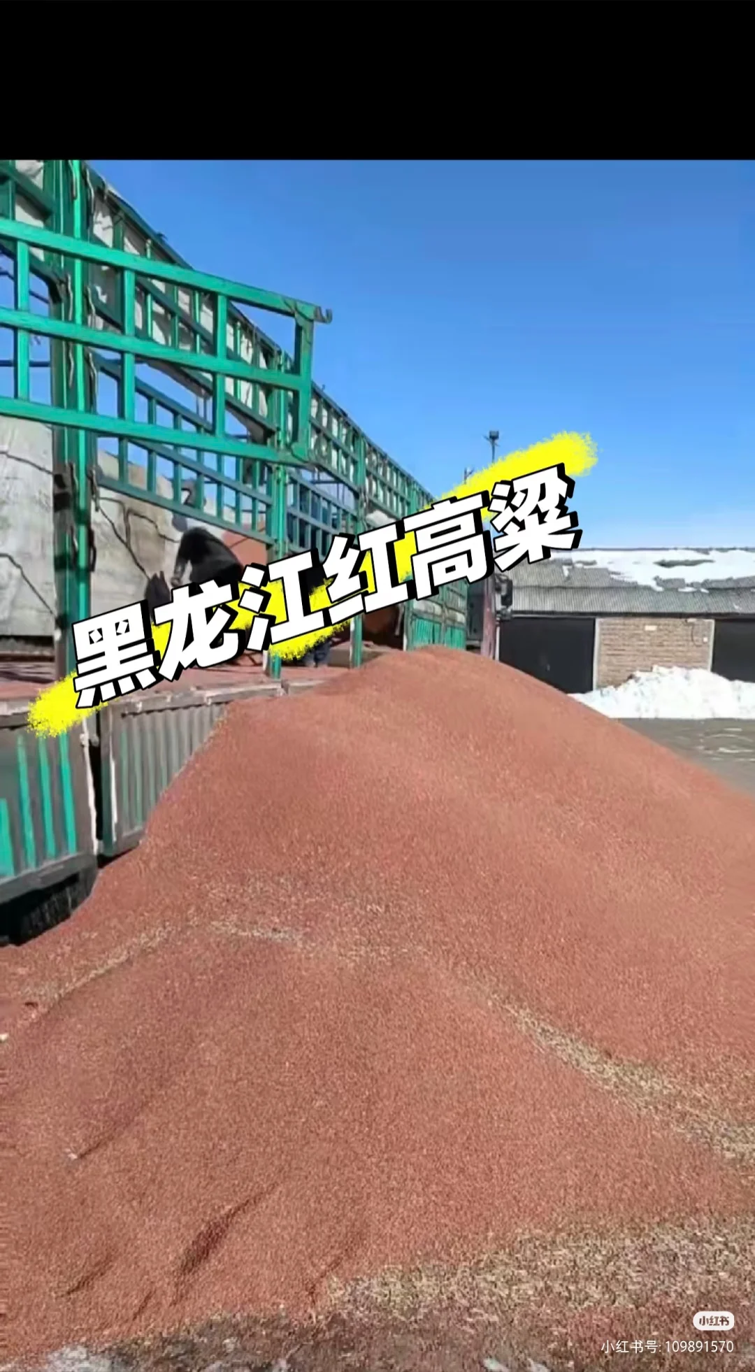 东北纯粮散白酒❤️货真价实的酒友好评❤️