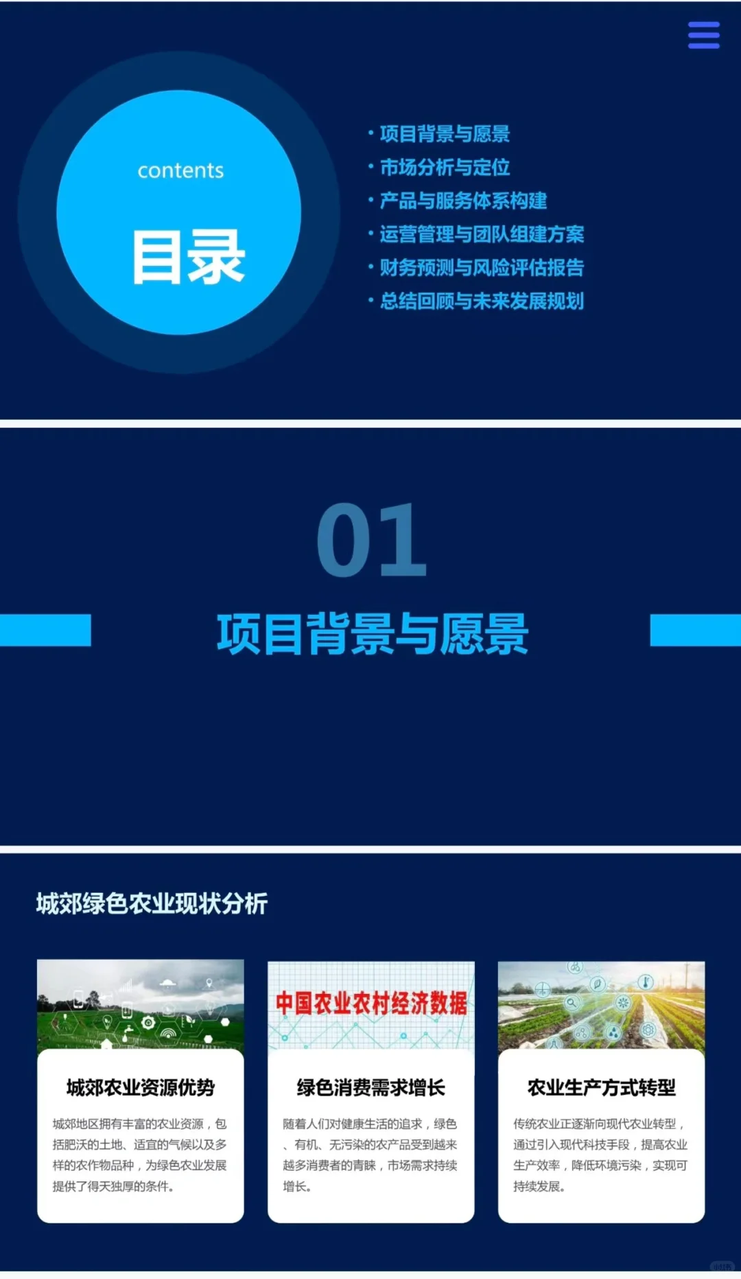 『城郊绿色农业与互联网融合』创业计划书