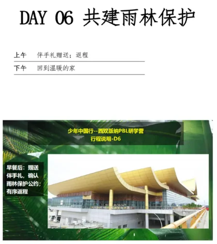 赋能少年,西双版纳雨林探索首发团来啦!