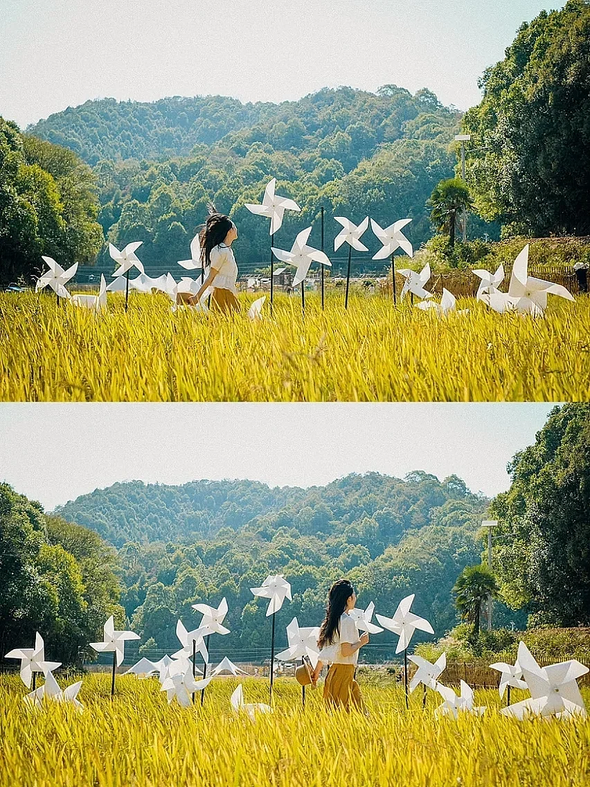 逃离城市,去乡下躺平??