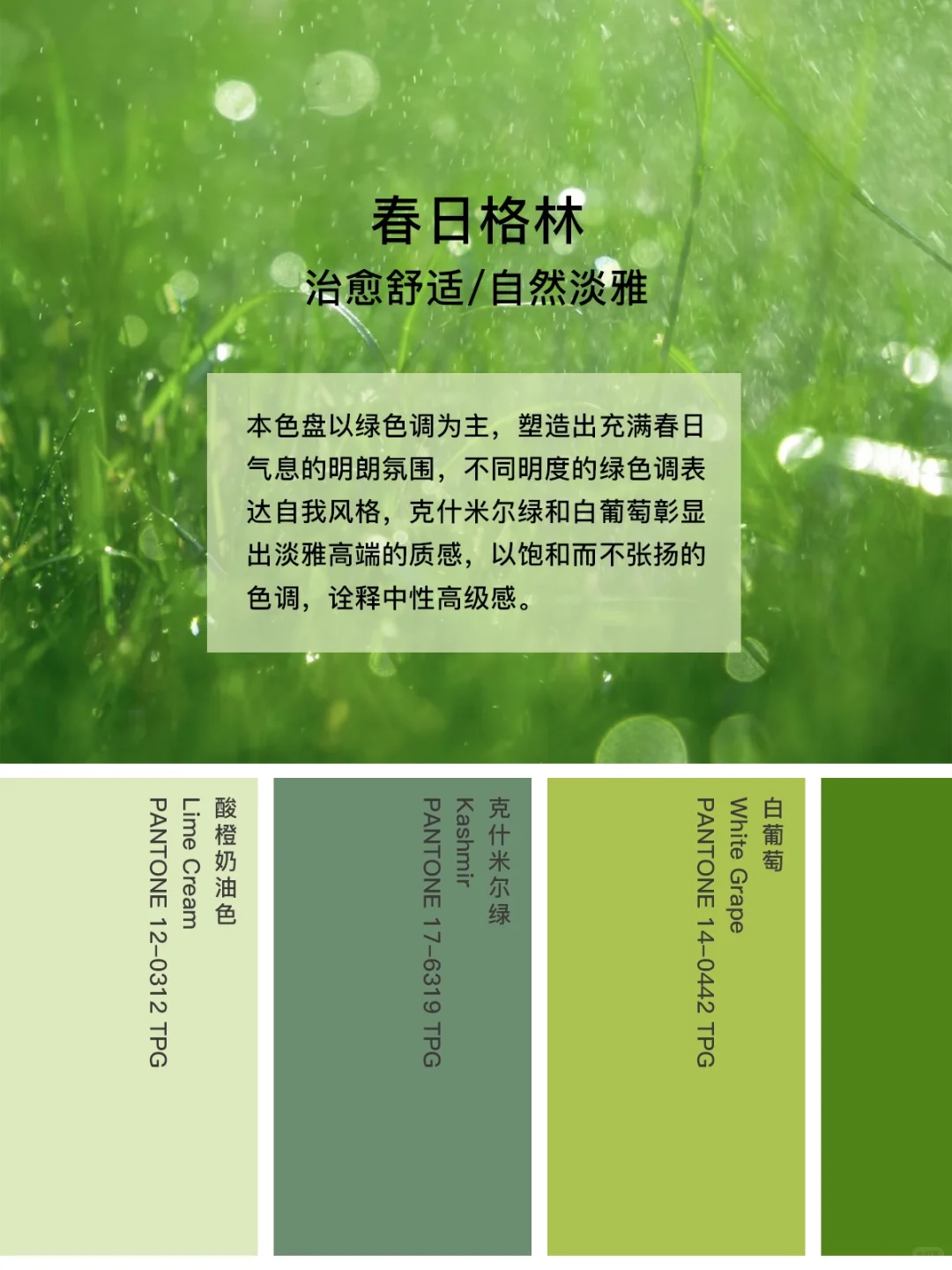 2025春夏纽约时装周关键色5️⃣组灵感配色