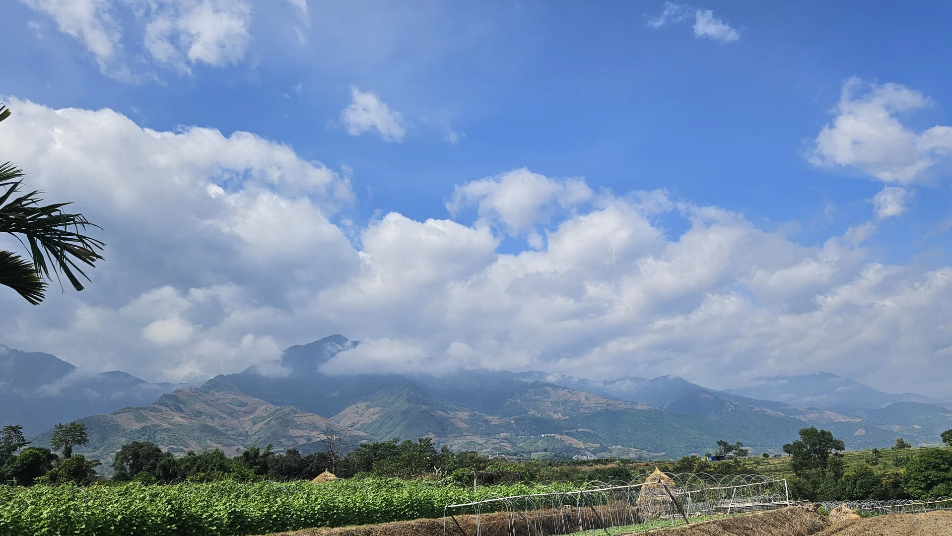 没有科技狠活的绿色农产品已经寄出来了