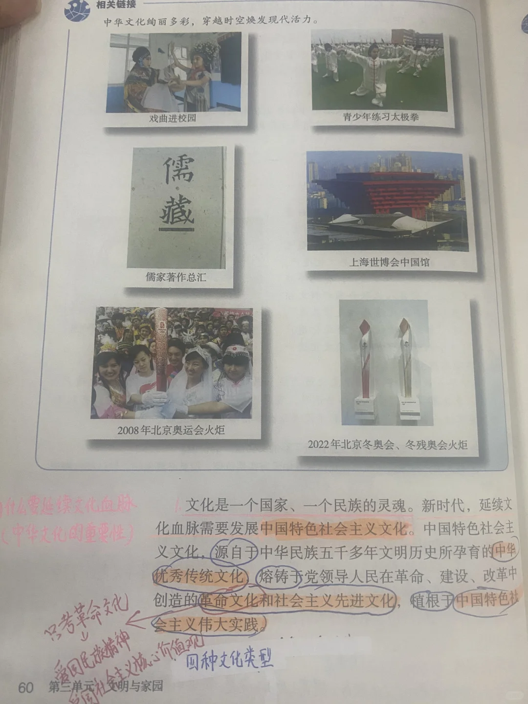 九年级道德与法治 《延续文化血脉》