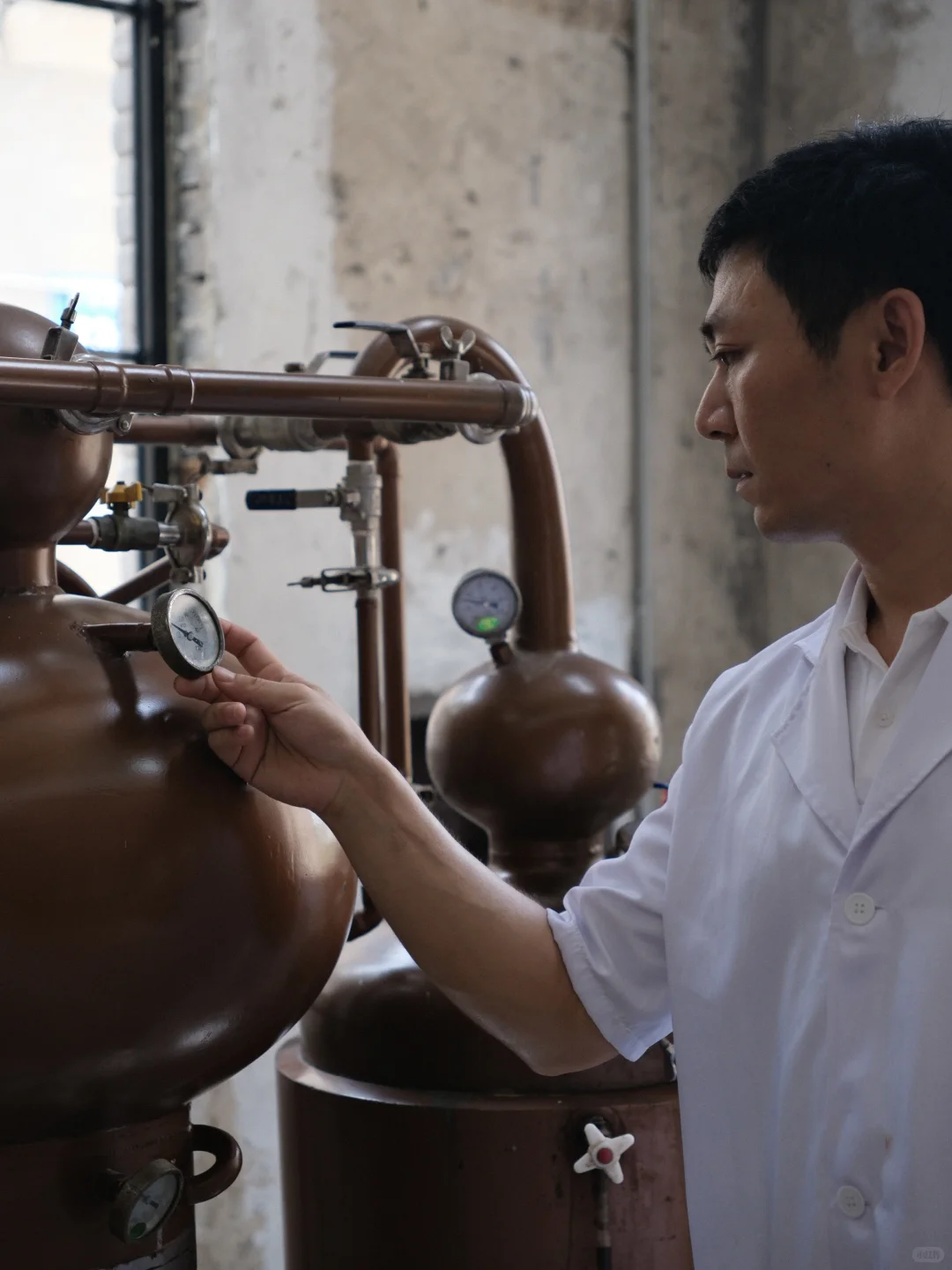 手握国家级品酒师证的“白酒科学家”?