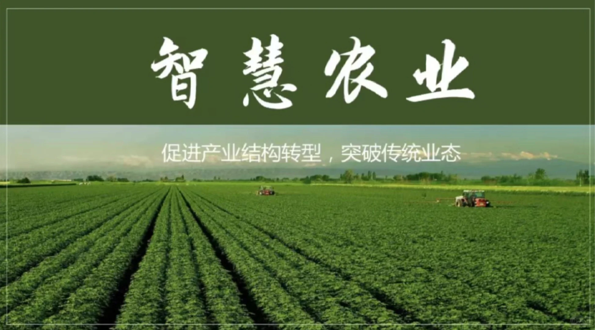 ?走进智慧农业:科技助力农业发展?