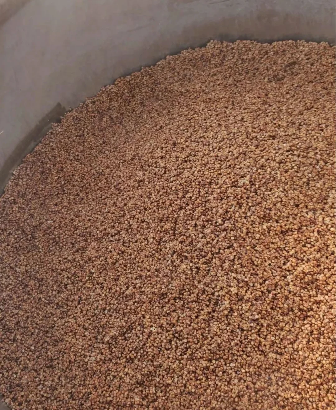 自家酿造纯高粱酒 可以全国寄售