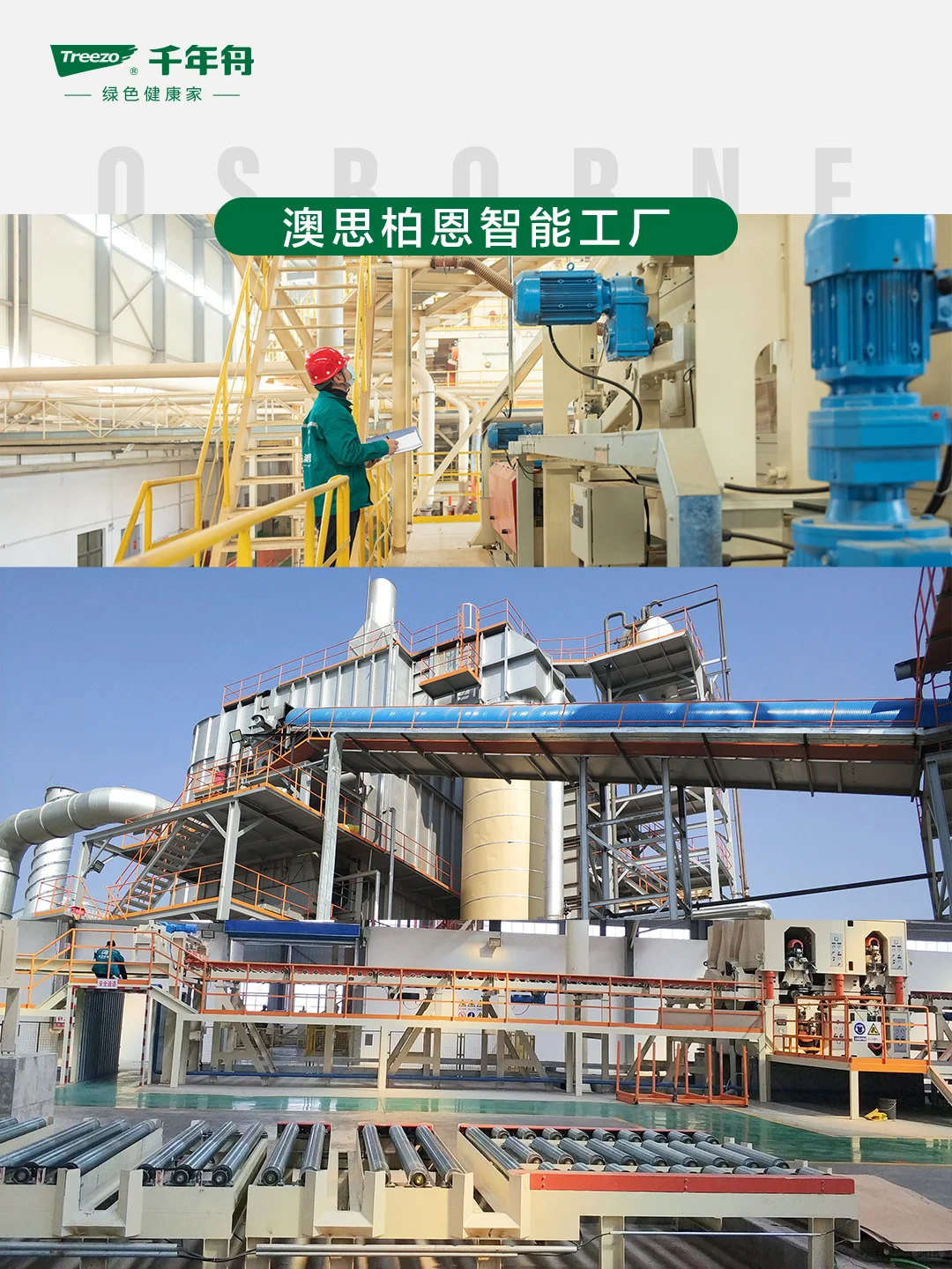 千年舟智能工厂揭秘|422品牌日见证好板诞生