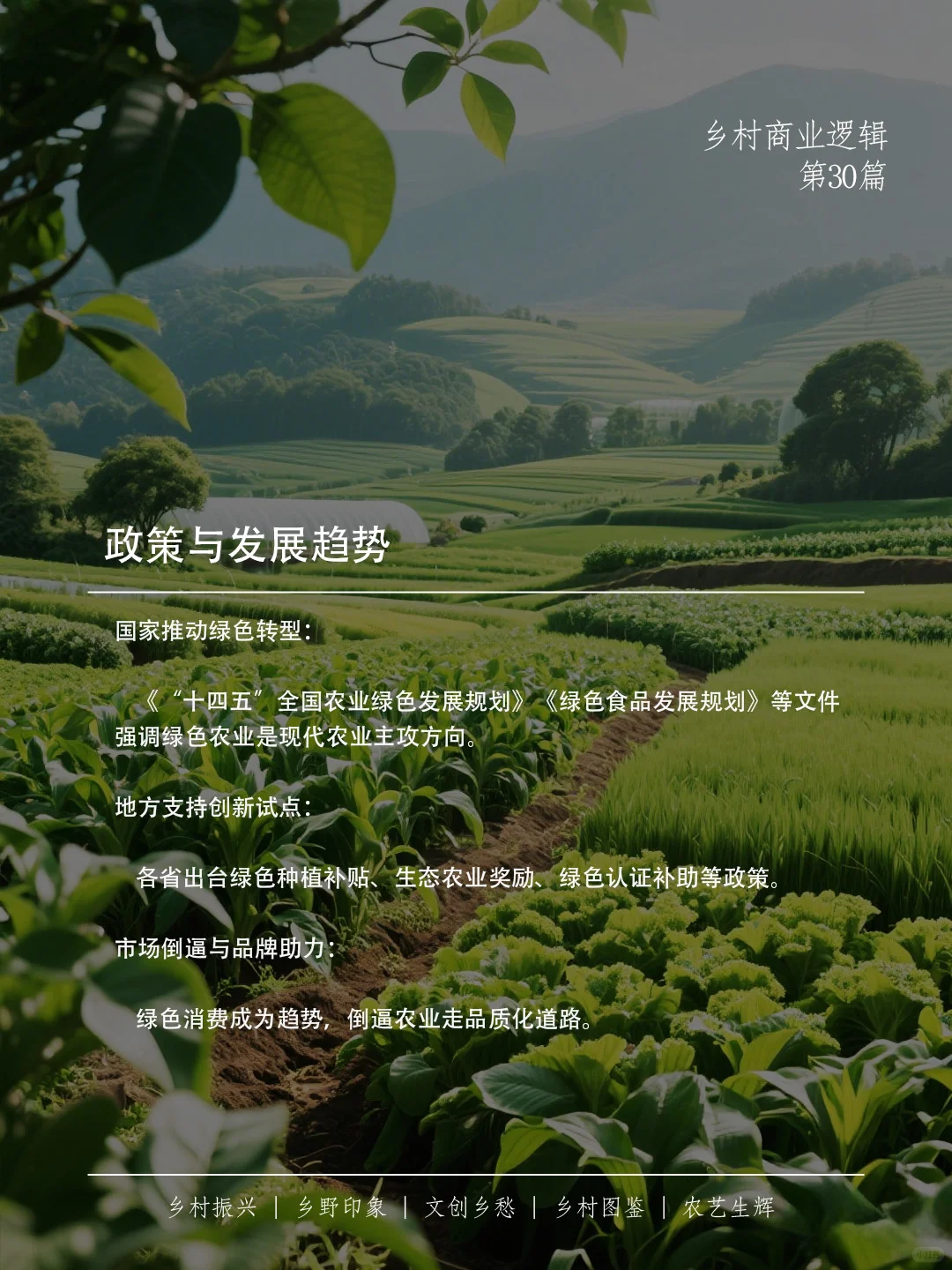 绿色农业，不只是种田，更是乡村的未来之路